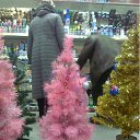 ���� ������, ������, 73 ���� - ��������� 25 ������� 2011