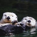 ���� ����, ������, 46 ��� - ��������� 26 �������� 2011 � ������ �������