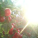  , --, 47  -  19  2013    