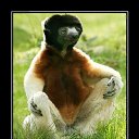 ���� ������ ���������, ������, 63 ���� - ��������� 16 ����� 2012 � ������ ���� ����������