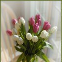  Mari,  -  26  2010   -