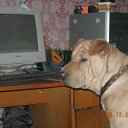 ���� ��� ����, ����, 67 ��� - ��������� 20 ��� 2011 � ������ �������