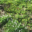 ���� ������, �����������, 55 ��� - ��������� 13 ��� 2011 � ������ ������