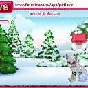  , , 31  -  31  2011   PetLove