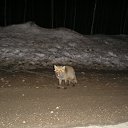  , --, 55  -  16  2010   