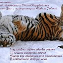 ���� �����, �����������, 42 ���� - ��������� 15 ������� 2012