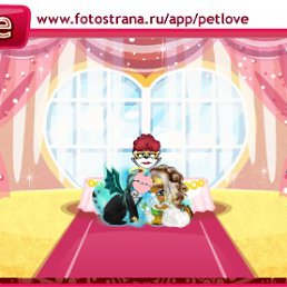 ���� ���� Super Star, ���������, 33 ���� - ��������� 24 ����� 2011