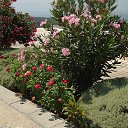 ���� ������, ������, 69 ��� - ��������� 6 ������� 2012 � ������ �������