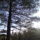  Serzh Van Der Maaremaan,  -  9  2009    