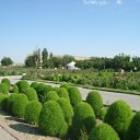 ���� ������, ����, 44 ���� - ��������� 3 ������� 2013