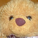 ���� ������, ��������, 22 ���� - ��������� 31 ������� 2010 � ������ ���� �������