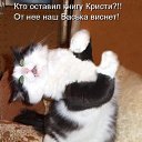 ���� �������, �������, 50 ��� - ��������� 27 ����� 2010 � ������ �������