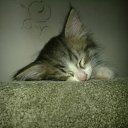 ���� Ferro, ��� - ��������� 4 ��� 2011 � ������ ���������