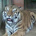  Hjvf, , 56  -  19  2010   