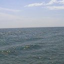 ���� �����..., �������������-���������� - ��������� 3 ������ 2011 � ������ ���������� ������� - ������!�