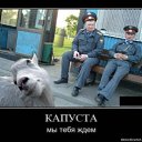 ���� �����, �������, 46 ��� - ��������� 6 ������ 2012 � ������ �������