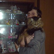 ������, 57 ���, ������