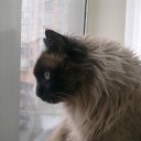   ( ),  -  23  2010     Ҹ!!!