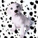  , , 69  -  13  2010   -