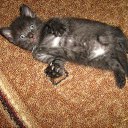 ���� Blond, ���������, 40 ��� - ��������� 3 ������ 2010