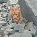 ���� &deg;&bull;*������&deg;&bull;*, ����������, 23 ���� - ��������� 15 ��� 2010 � ������ ���� ��������