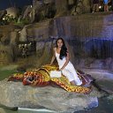 ���� �����, ������ - ��������� 26 ����� 2012 � ������ ���� ����������