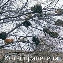  , -, 54  -  12  2010   