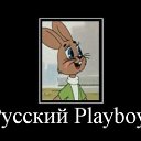 ���� Roli, ��������, 53 ���� - ��������� 14 ��� 2011 � ������ �����������