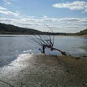 ���� �������, ����, 42 ���� - ��������� 24 ������� 2010 � ������ �������