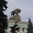   , , 57  -  6  2013