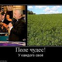 ���� ��������, ����������, 65 ��� - ��������� 19 ������� 2012 � ������ �������