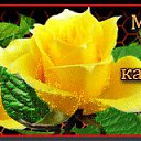 ���� �������, ��������-��-������, 67 ��� - ��������� 25 ���� 2013 � ������ ������ ������