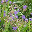 ���� ����, ����������� - ��������� 8 ���� 2010