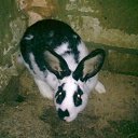 ���� �������, �������, 47 ��� - ��������� 9 ���� 2010 � ������ ���������