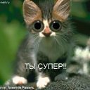 ���� �����, ������, 48 ��� - ��������� 12 ������� 2013 � ������ ���� ����������