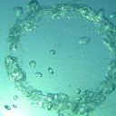 ���� �����, ���������, 48 ��� - ��������� 21 ������� 2012 � ������ ���� ����������