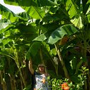 ����� �� ������� ���� ����������