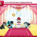  , , 50  -  20  2010   PetLove