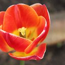 ���� �����, �����, 60 ��� - ��������� 21 ��� 2012 � ������ ������ �����