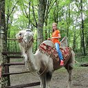 ���� ����������, ����������, 25 ��� - ��������� 1 ���� 2013