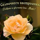 ���� �������, ������� ����, 35 ��� - ��������� 15 ������� 2010 � ������ ���������