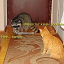  Misterij,  -  27  2012   