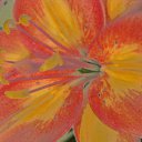 ���� �������, �����-��������� - ��������� 15 ������ 2010 � ������ �����,������