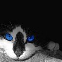 ���� �������, Los Angeles, 40 ��� - ��������� 8 ���� 2013 � ������ �The Most Loving...�