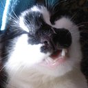   ,  -  26  2013        =)