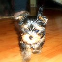 ���� �����, ������ - ��������� 10 ������ 2012 � ������ �������