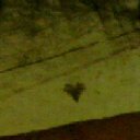 ���� ����, ����������, 55 ��� - ��������� 16 �������� 2011 � ������ �������