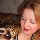 ���� �������, �����������, 58 ��� - ��������� 2 ��� 2013