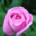 ���� ����, �������� ������ - ��������� 8 �������� 2010 � ������ ������� ��������....�