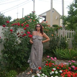 ���� ������, �����, 62 ���� - ��������� 5 ������� 2012